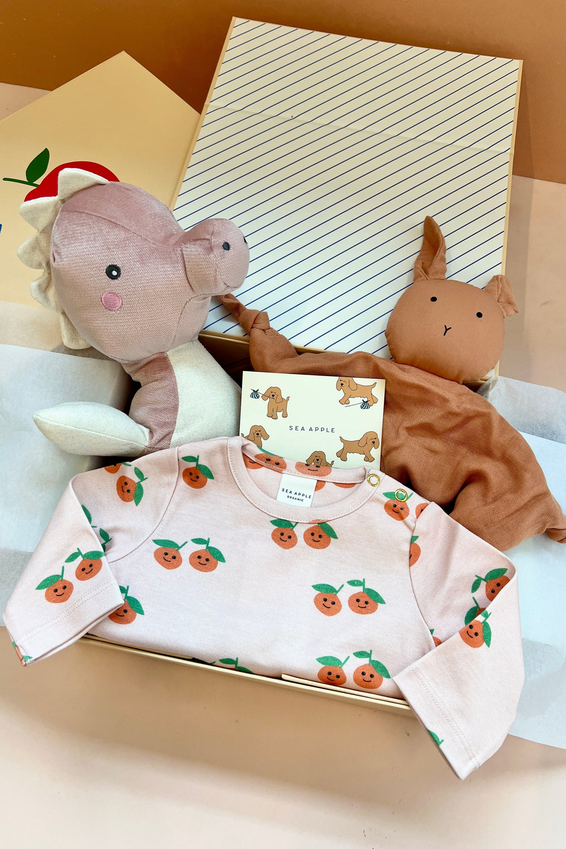 Personalisable Baby Girl Tangerine Gift Set