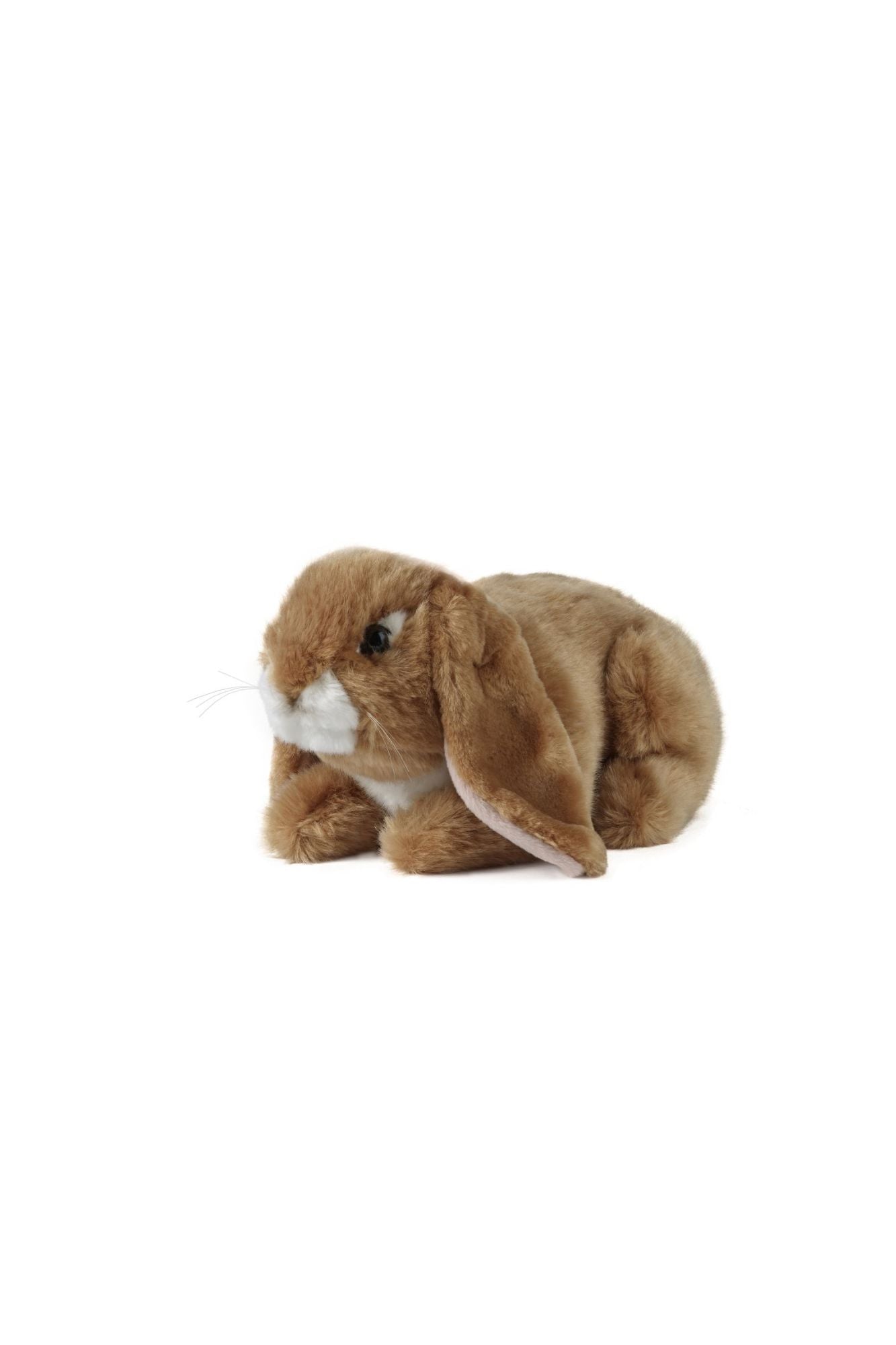 LIVING NATURE Brown Lop Eared Rabbit