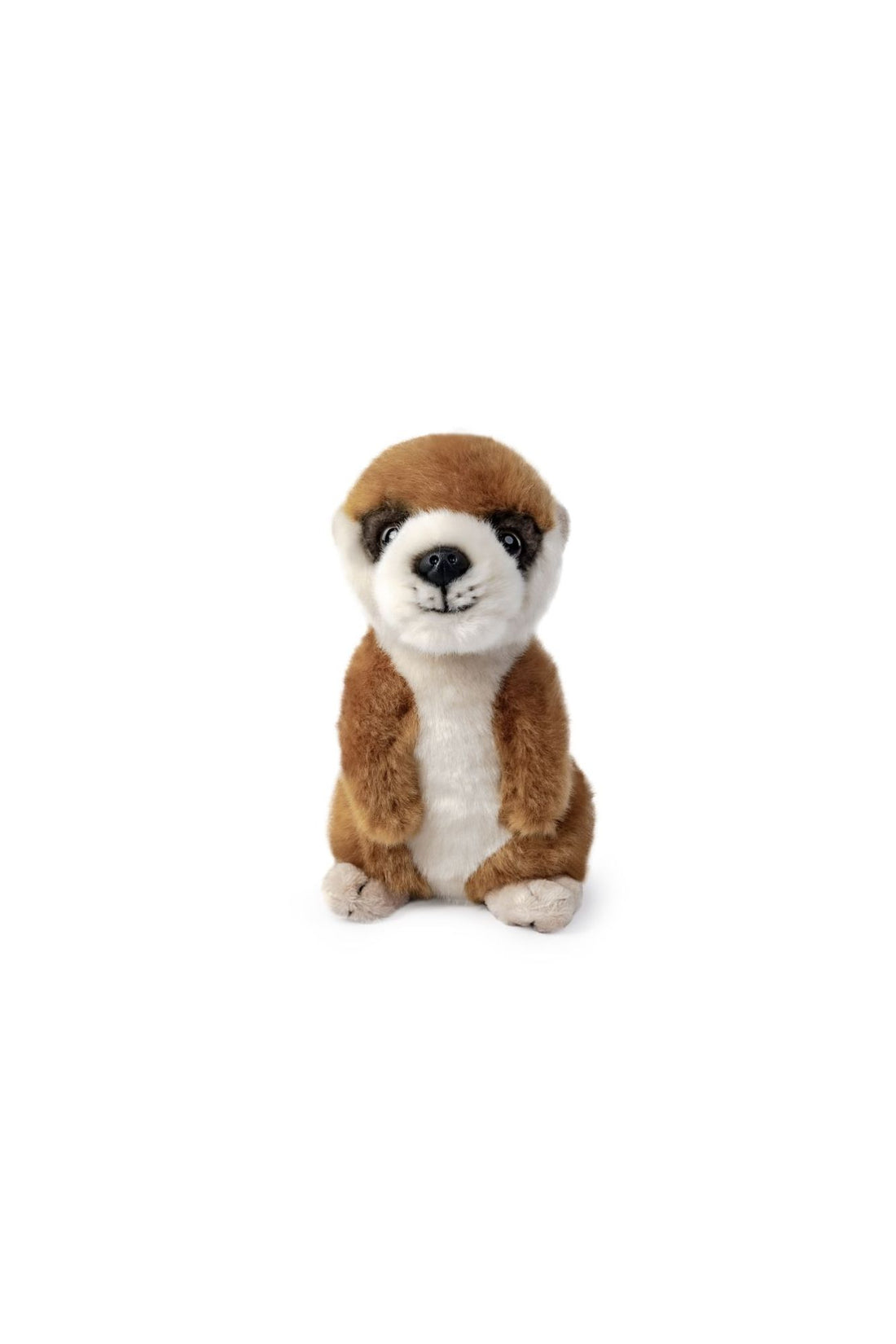 LIVING NATURE Meerkat Pup