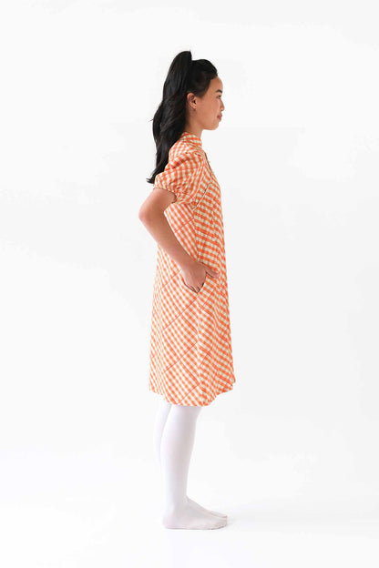 Mandarin Check Naomi Cheongsam