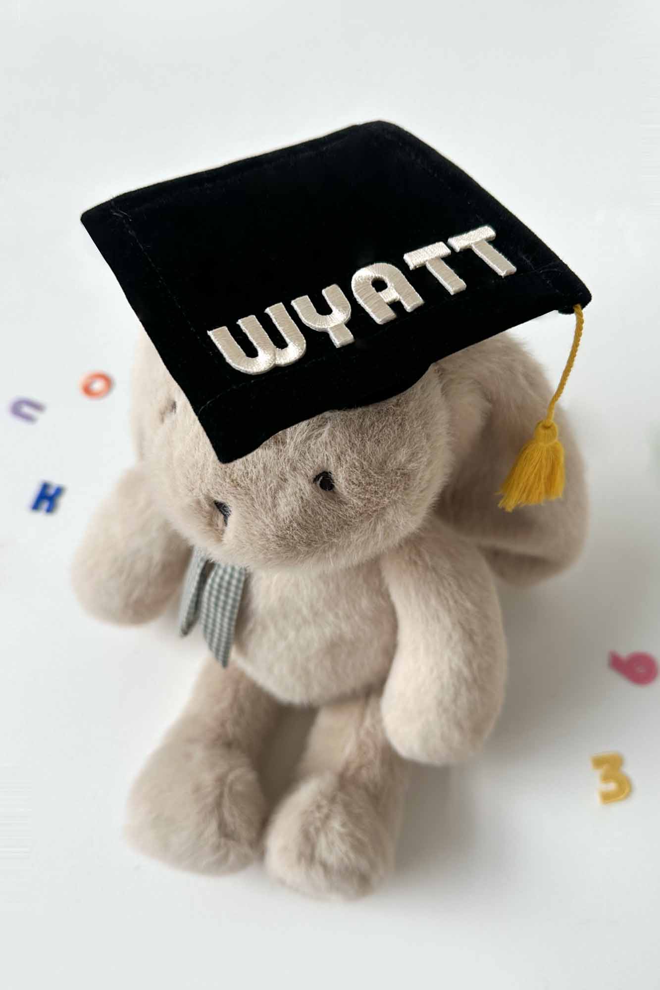 Personalisable Mini Plush Graduation Hat