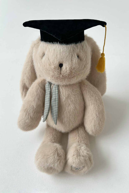 Personalisable Mini Plush Graduation Hat