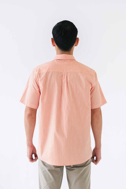 Orange Stripe Mens Collared Shirt