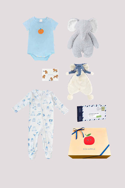 Baby Boy Periwinkle Gift Set