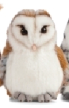 LIVING NATURE Owls 4 Assorted