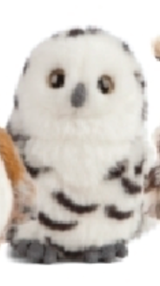 LIVING NATURE Owls 4 Assorted