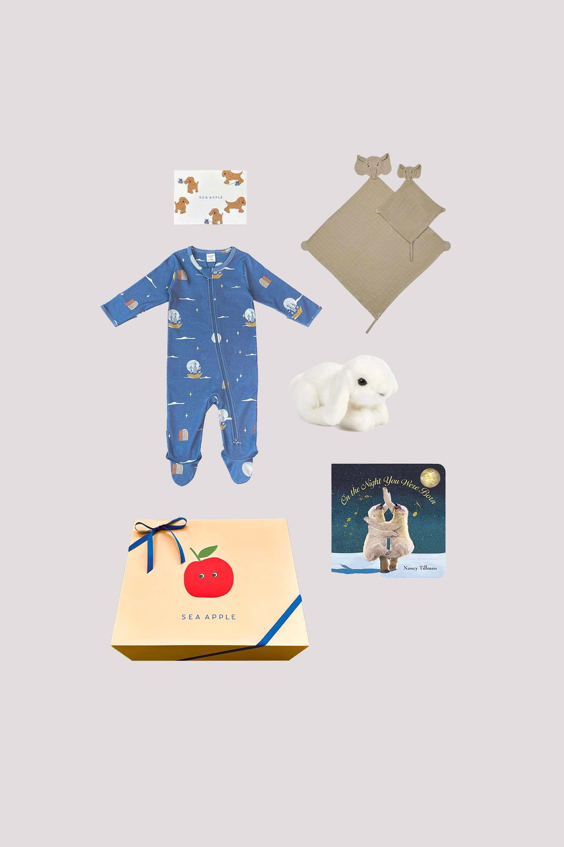 Baby Skyward Gift Set