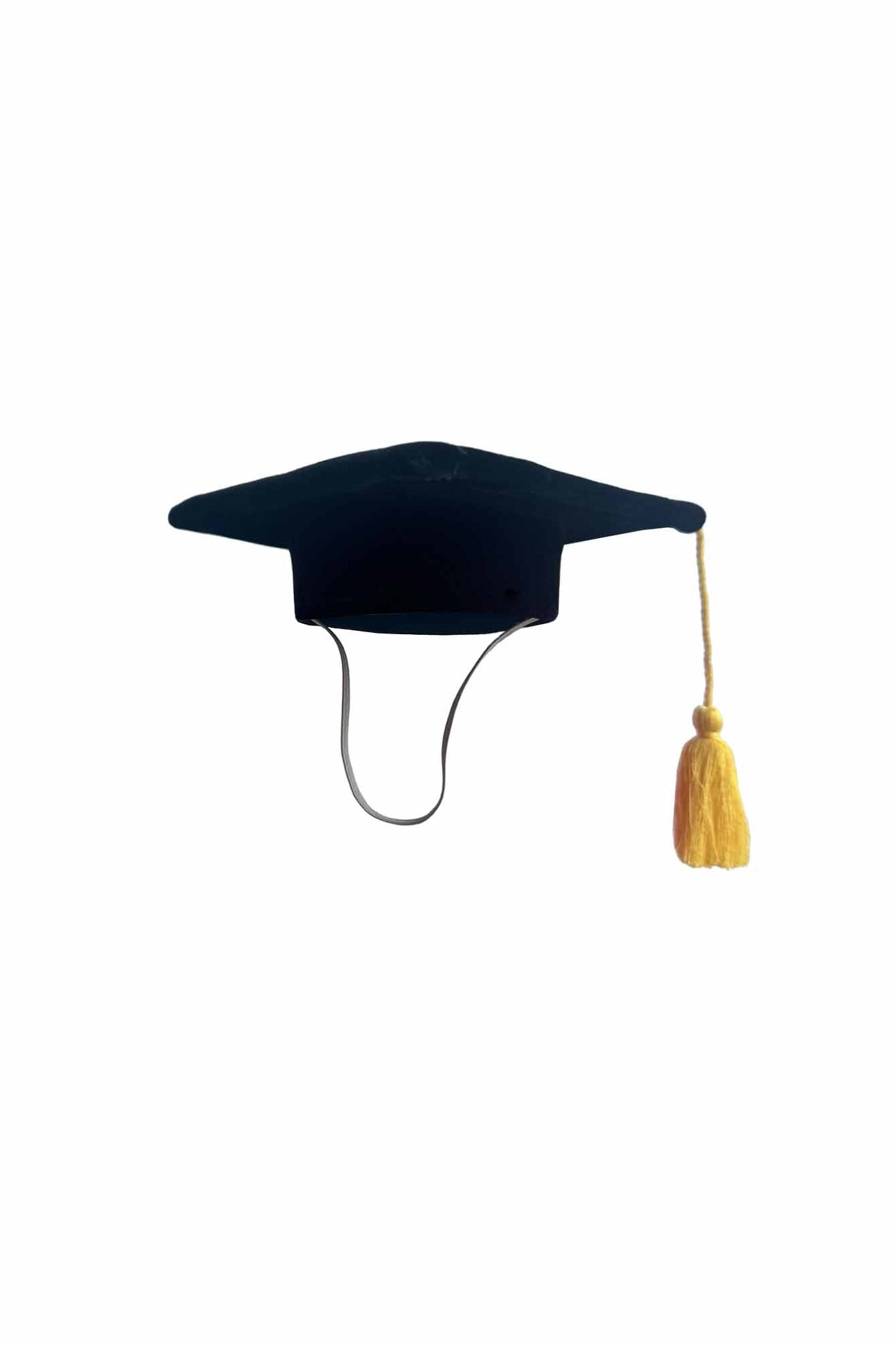 Personalisable Mini Plush Graduation Hat
