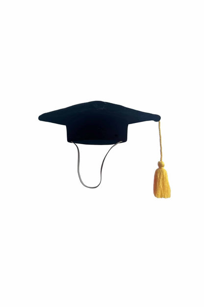 Personalisable Mini Plush Graduation Hat
