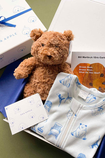 Bears Sleepsuit Gift Set