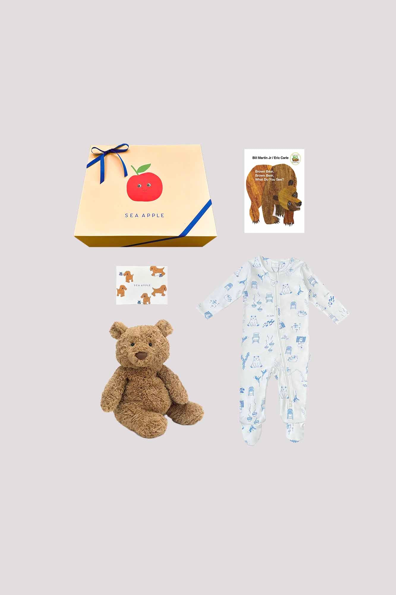 Bears Sleepsuit Gift Set