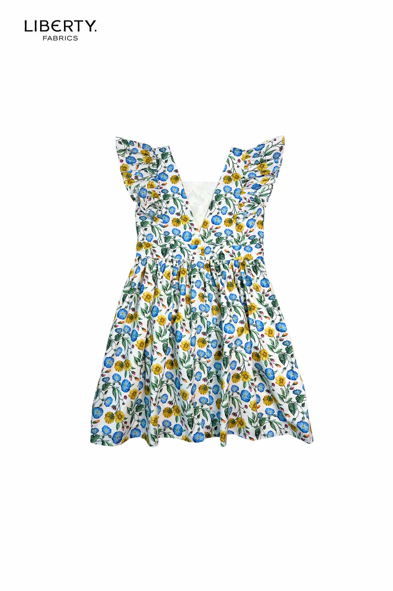 Dawn Walk Liberty Amanda Dress