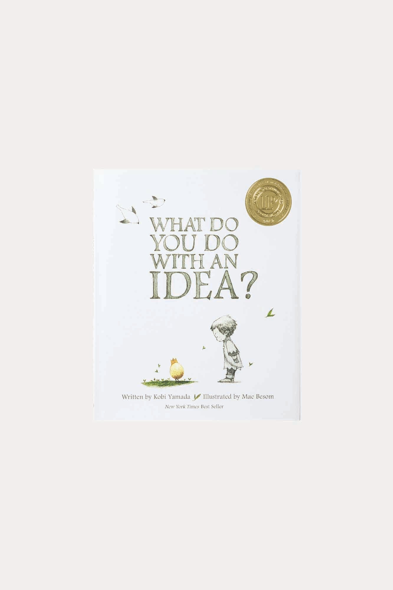 What Do You Do With An Idea?