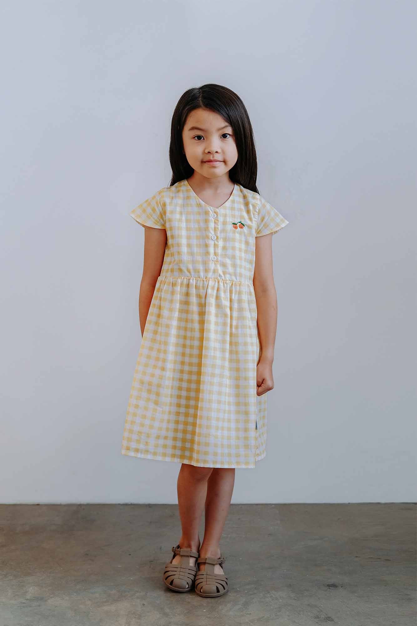 Pineapple Gingham Vest Dress