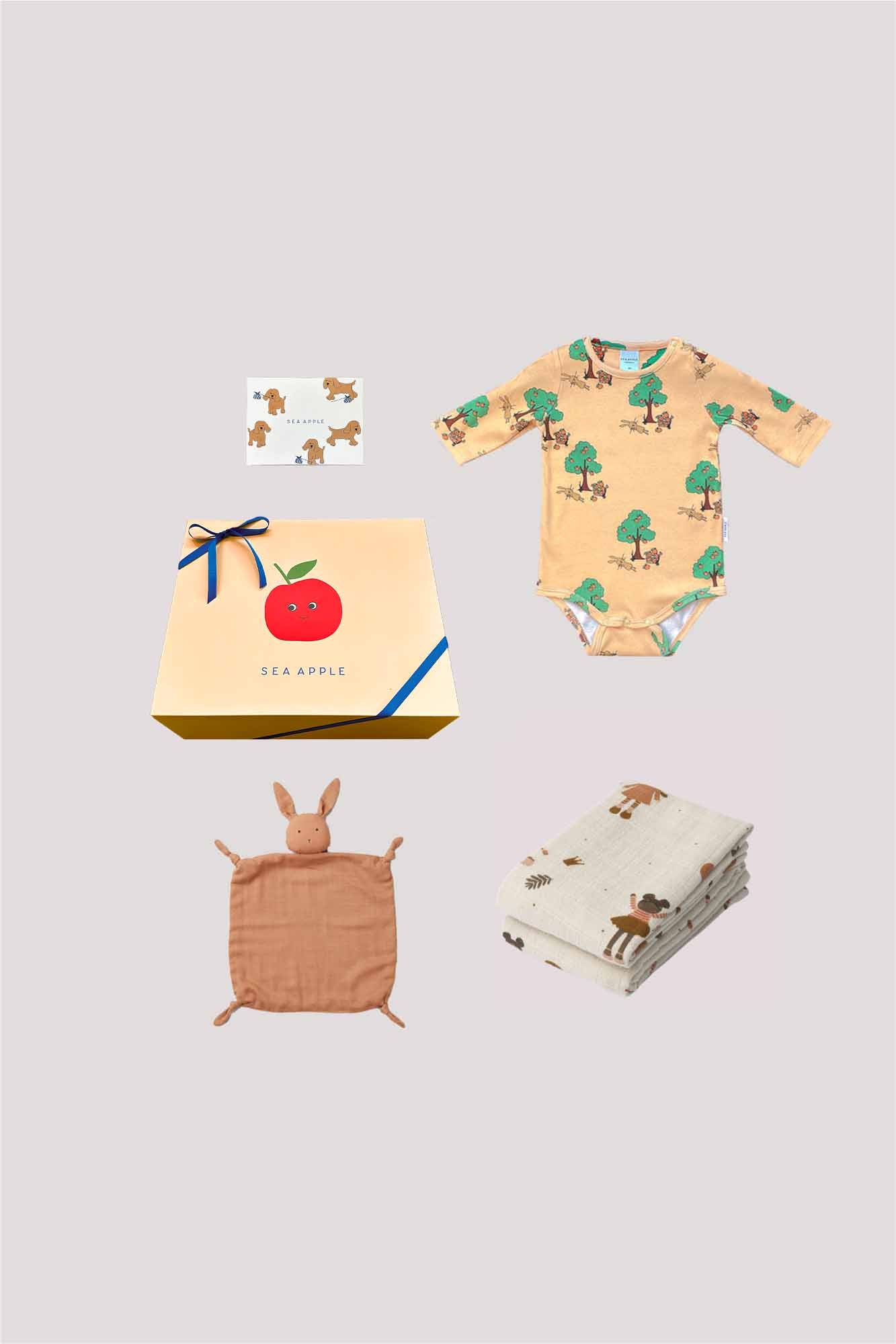 Baby Girl Terracotta Gift Set