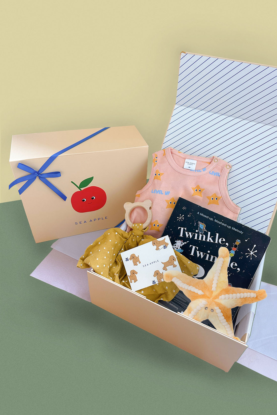 Baby Girl Twinkle Gift Set