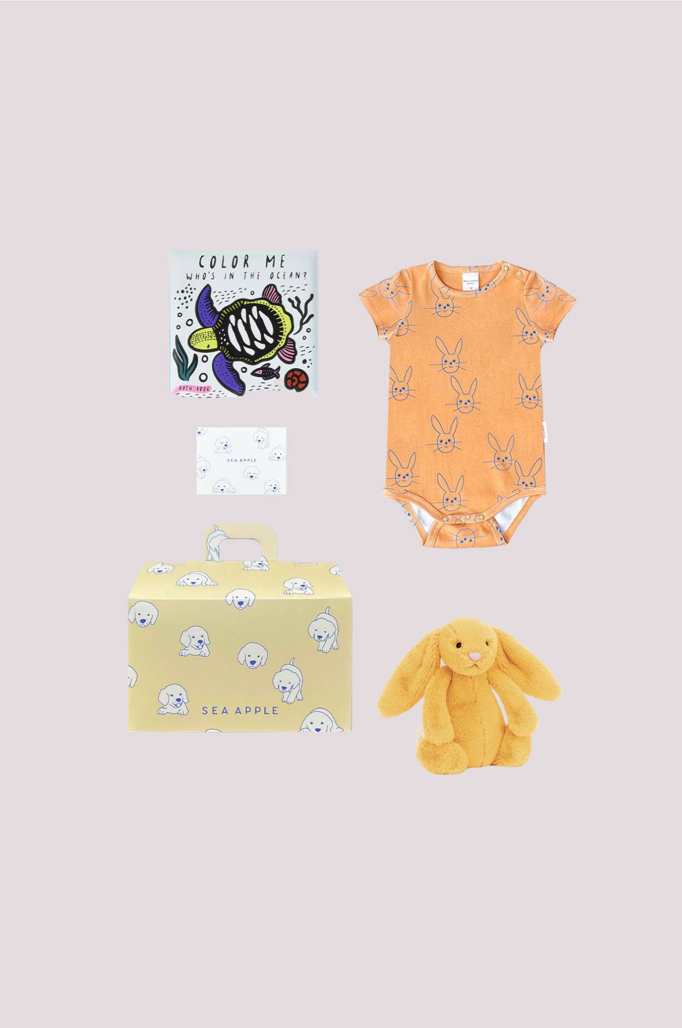 Unisex Sunshine Baby Gift Set