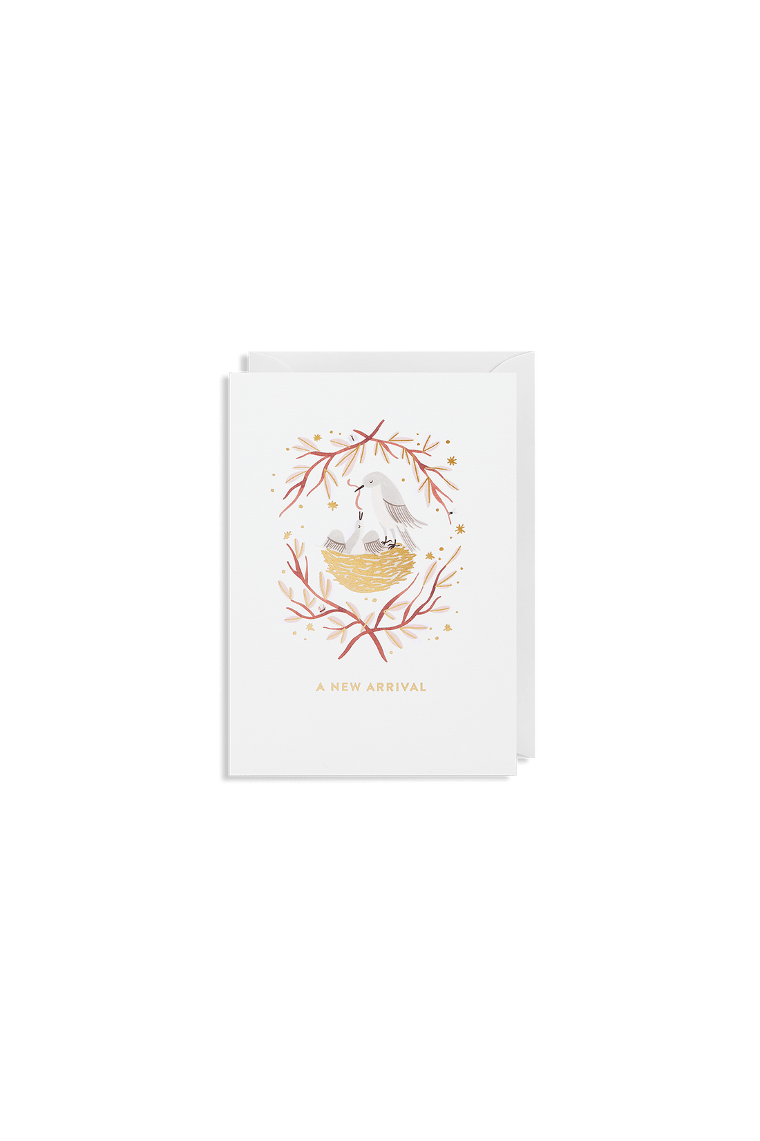 A New Arrival Greeting Card - Sea Apple