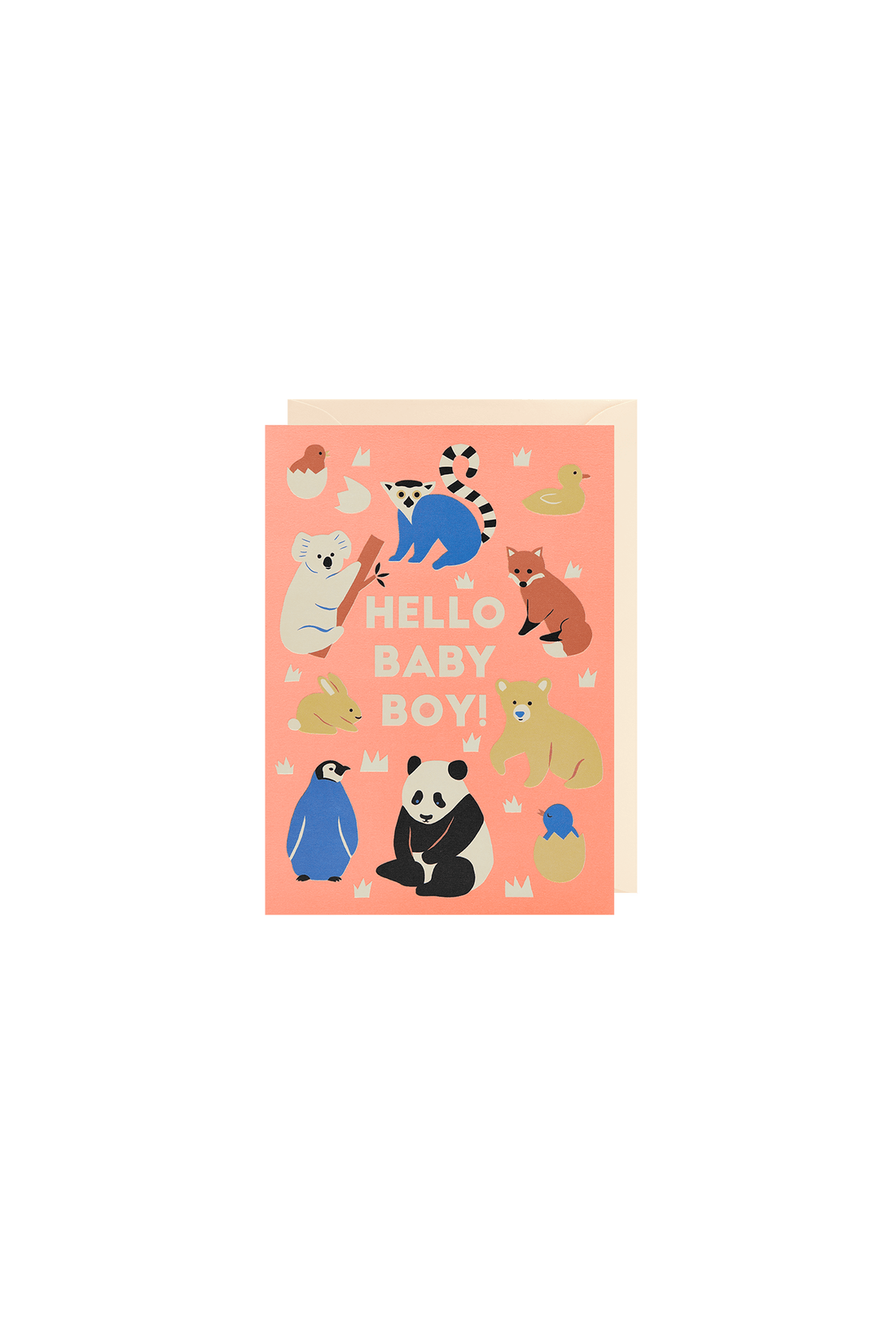 Hello Baby Boy! Greeting Card - Sea Apple