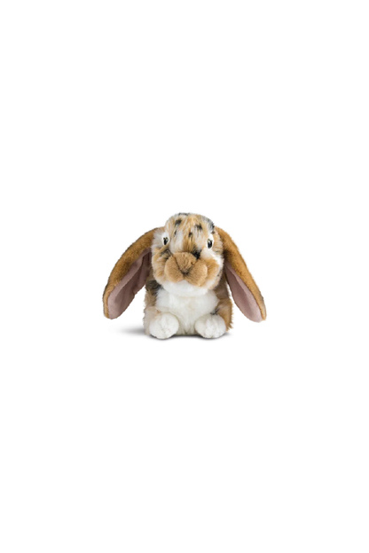 LIVING NATURE Brown Dutch Lop Eared Rabbit - Sea Apple