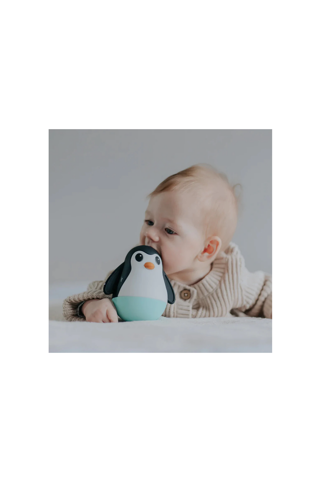 Jellystone Penguin Wobble - Mint