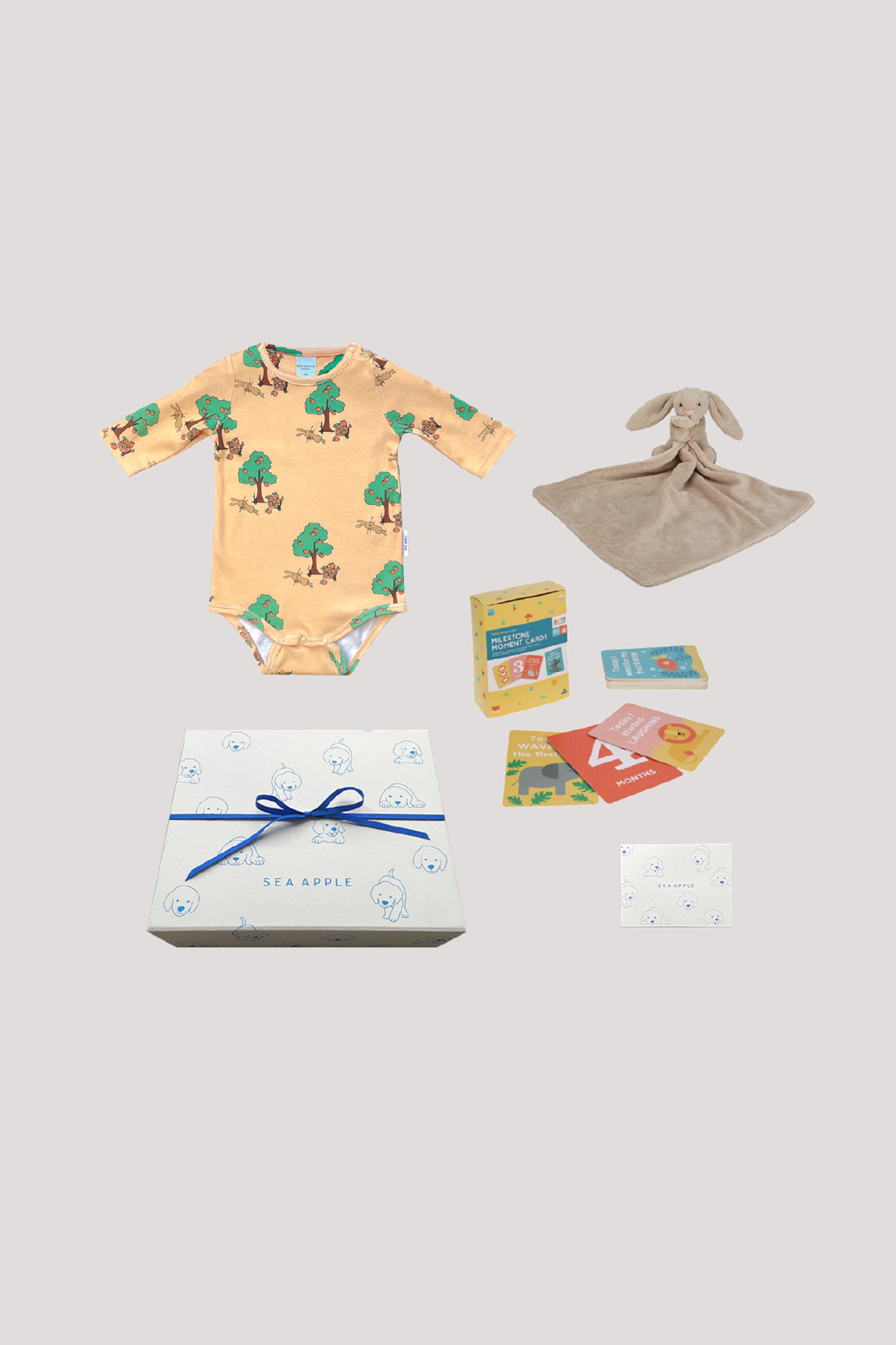 Personalisable Baby Milestone Gift Set