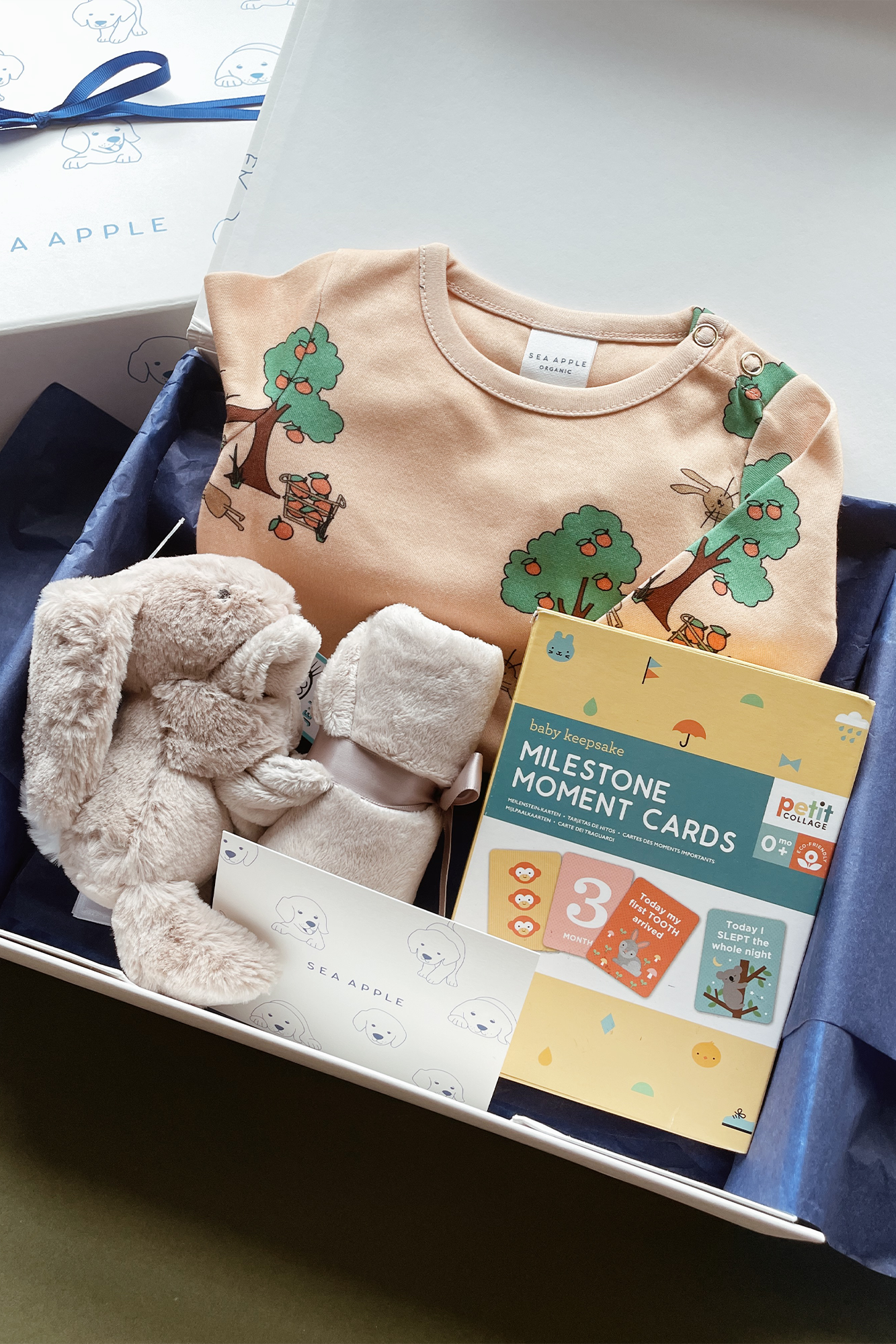 Personalisable Baby Milestone Gift Set