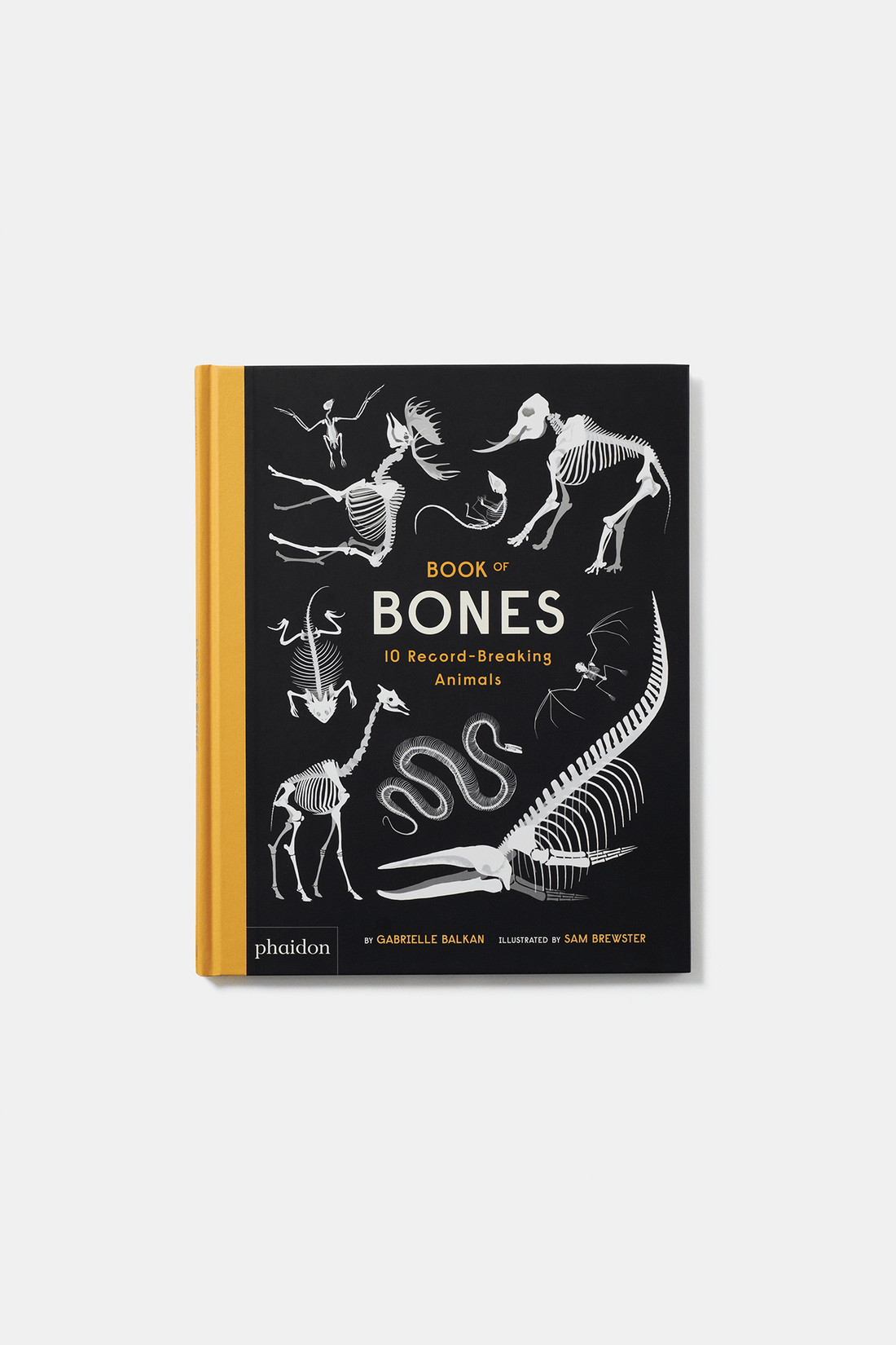 PHAIDON Books Book of Bones