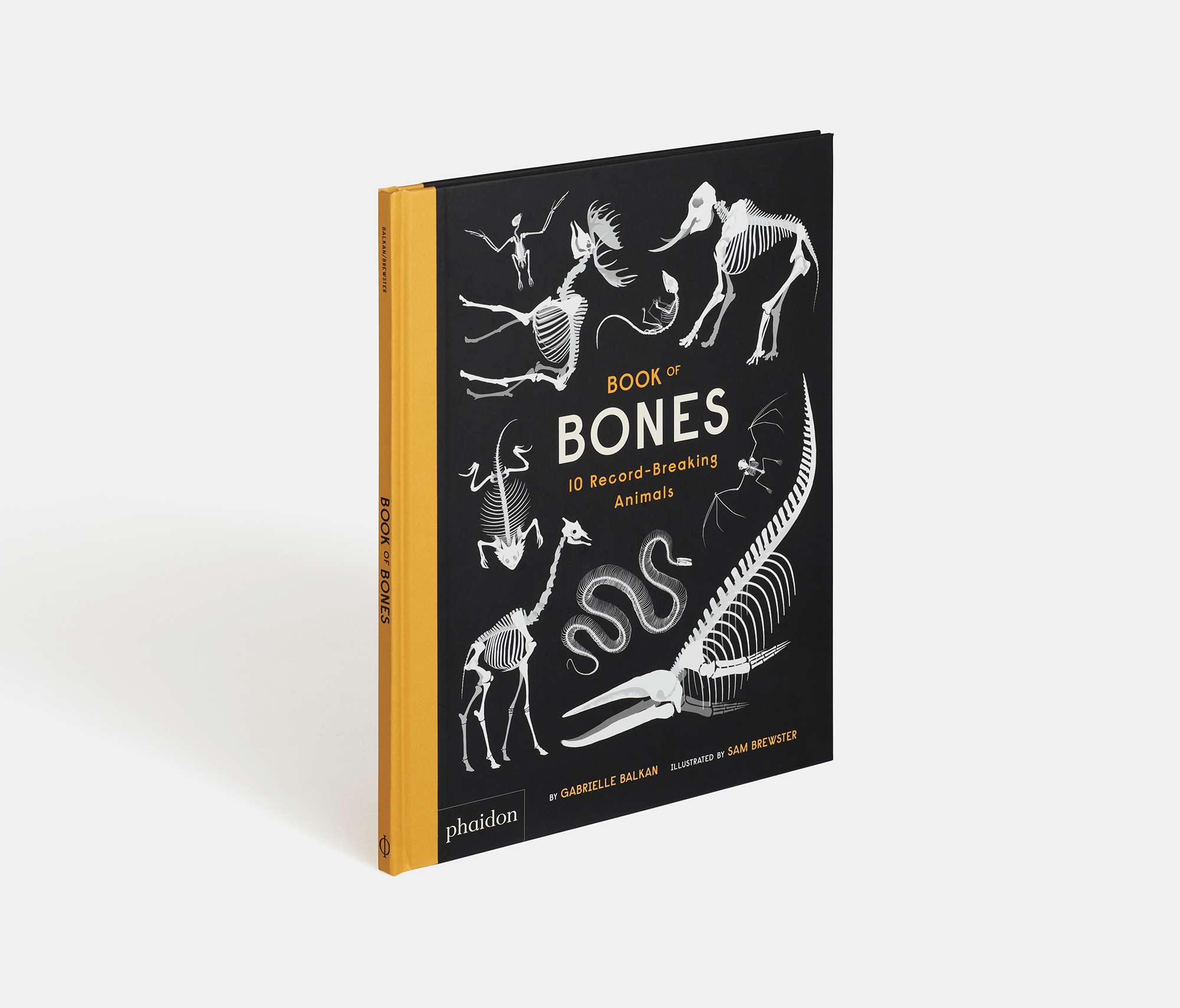 PHAIDON Books Book of Bones