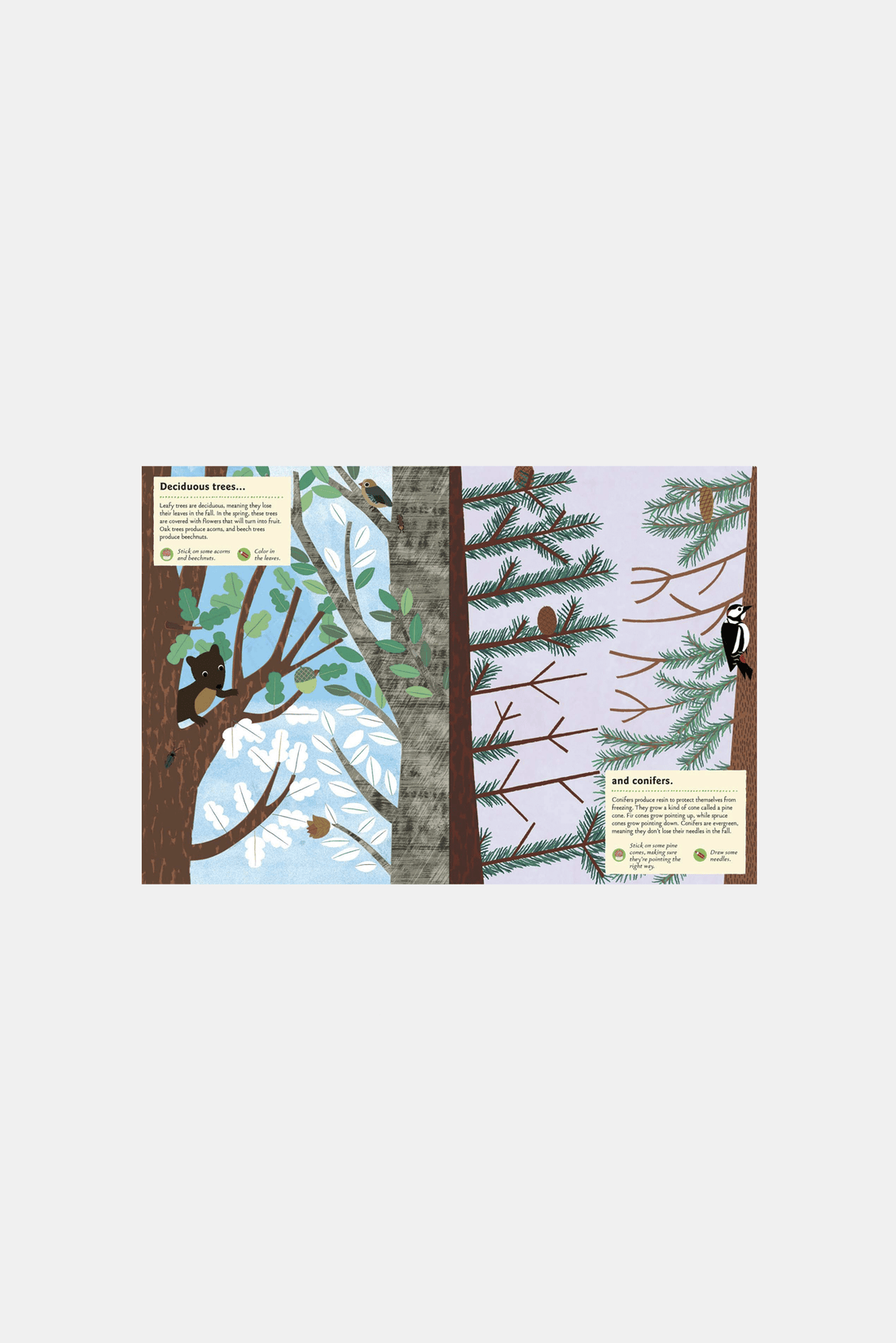 Various Publishers Books In The Forest My Nature Sticker Activity Book