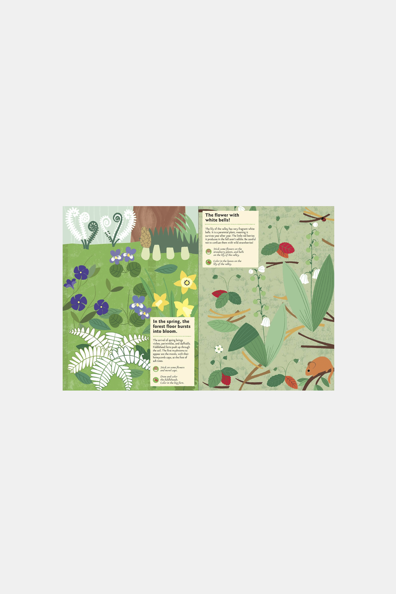 Various Publishers Books In The Forest My Nature Sticker Activity Book