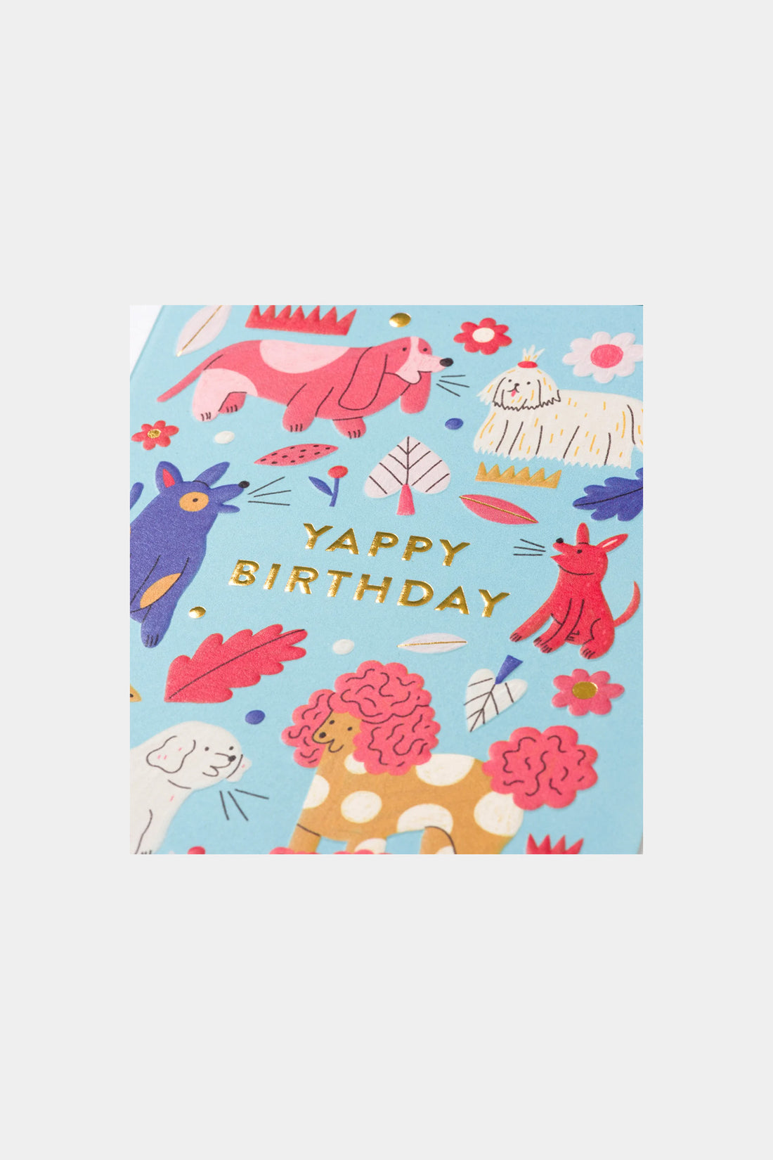 Yappy Birthday Greeting Card